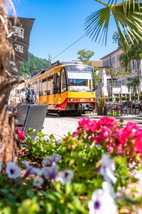 S-Bahn_Anreise nach Bad Wildbad