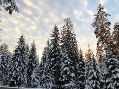 Schneeschuhtouren Höhenorte