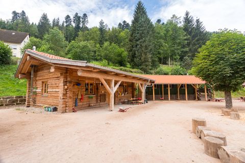 Spielen, Toben und Entdecken inmitten herrlicher Schwarzwald-Natur