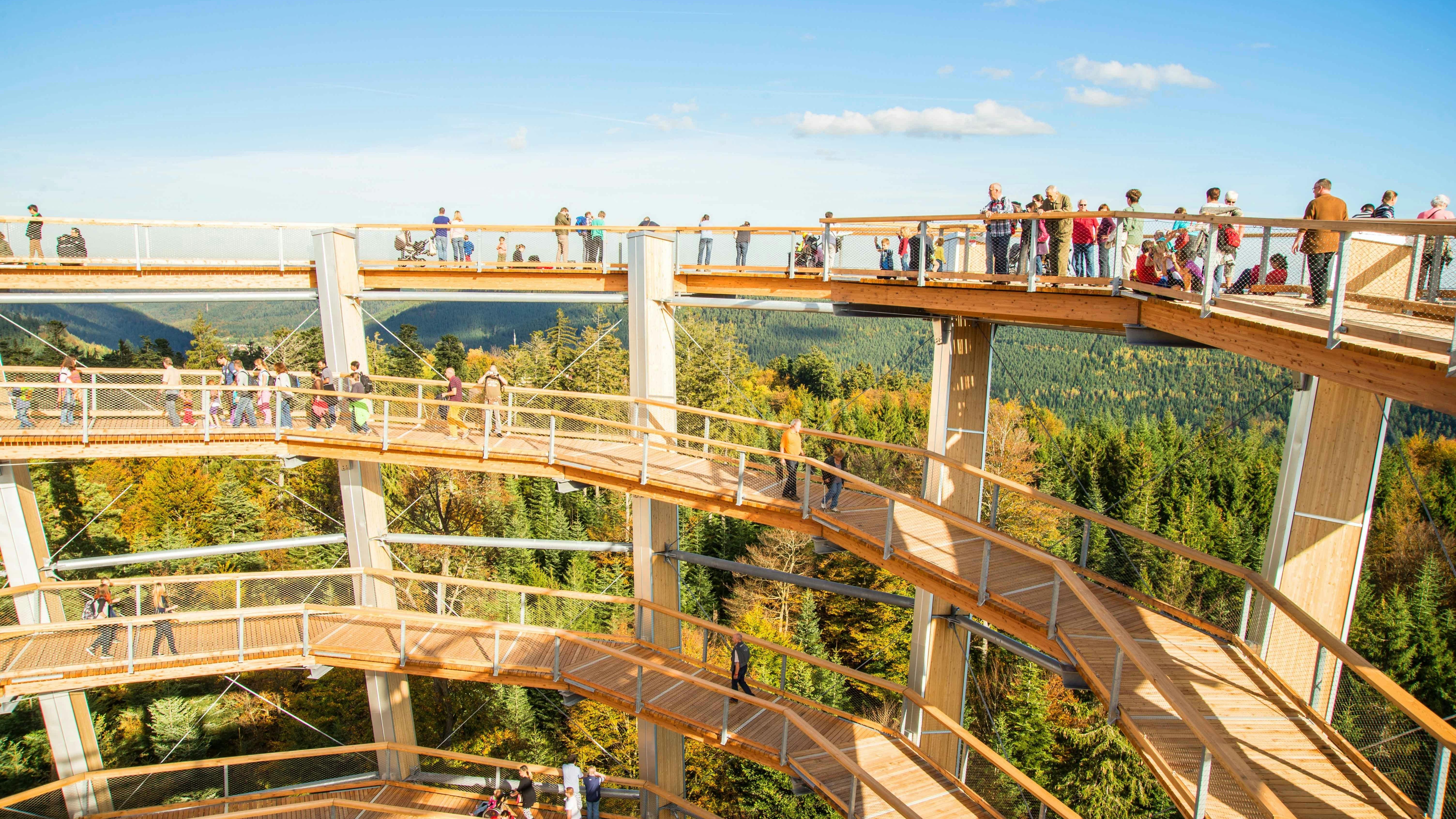 Treetop walk