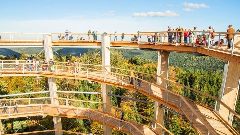 Treetop Walk