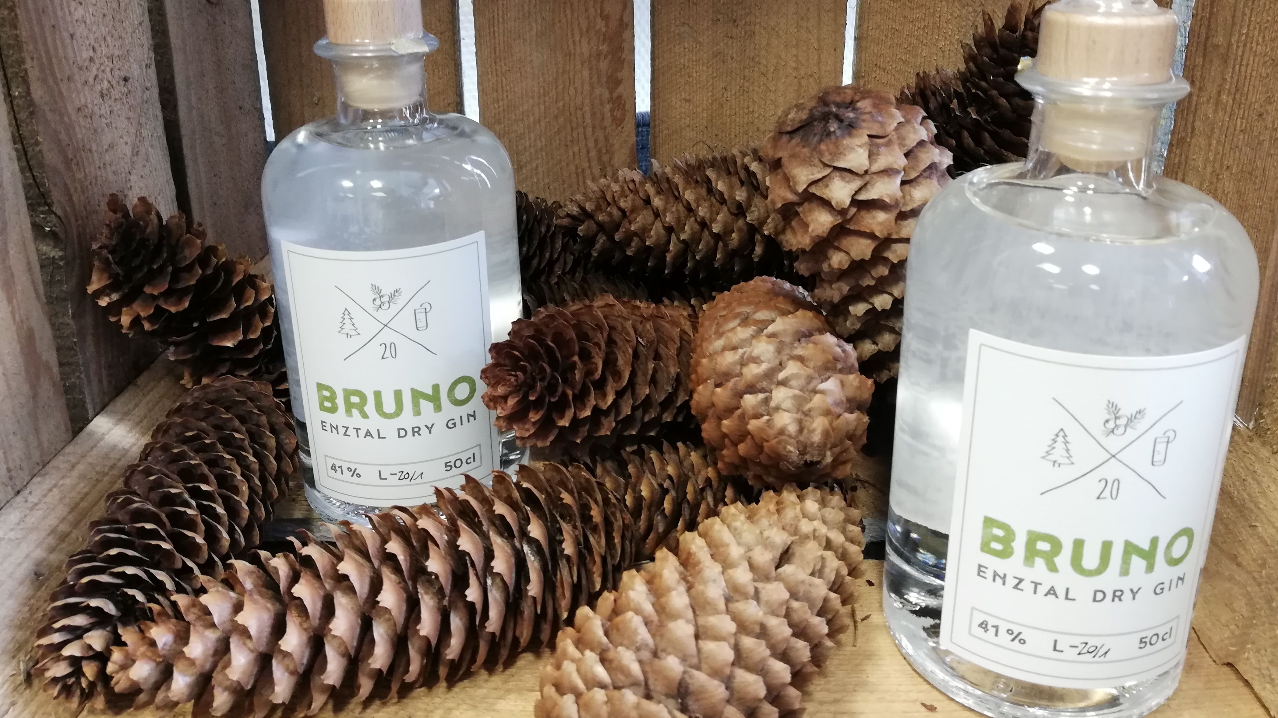 Bruno Gin