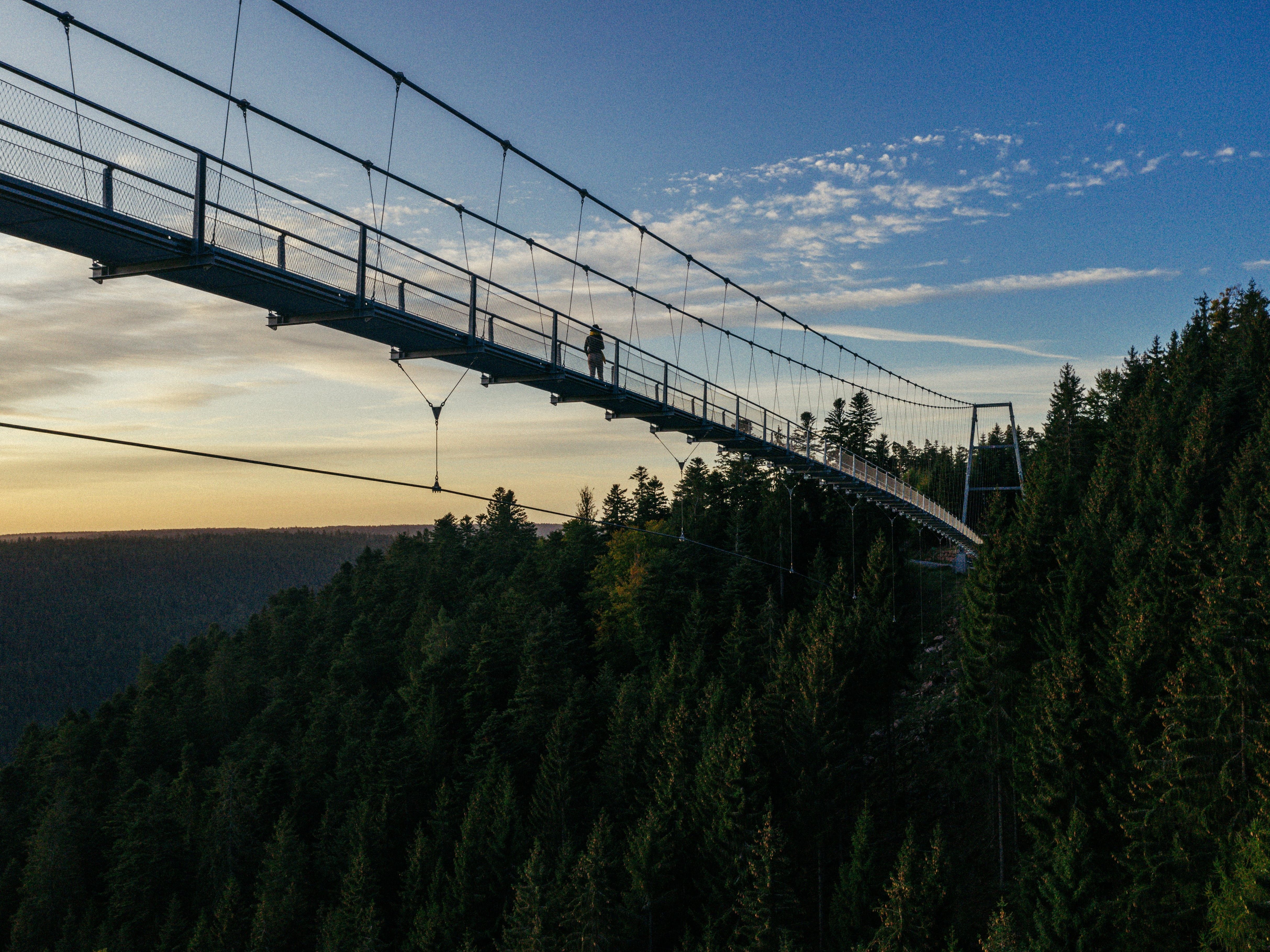 WILDLINE Suspension Bridge