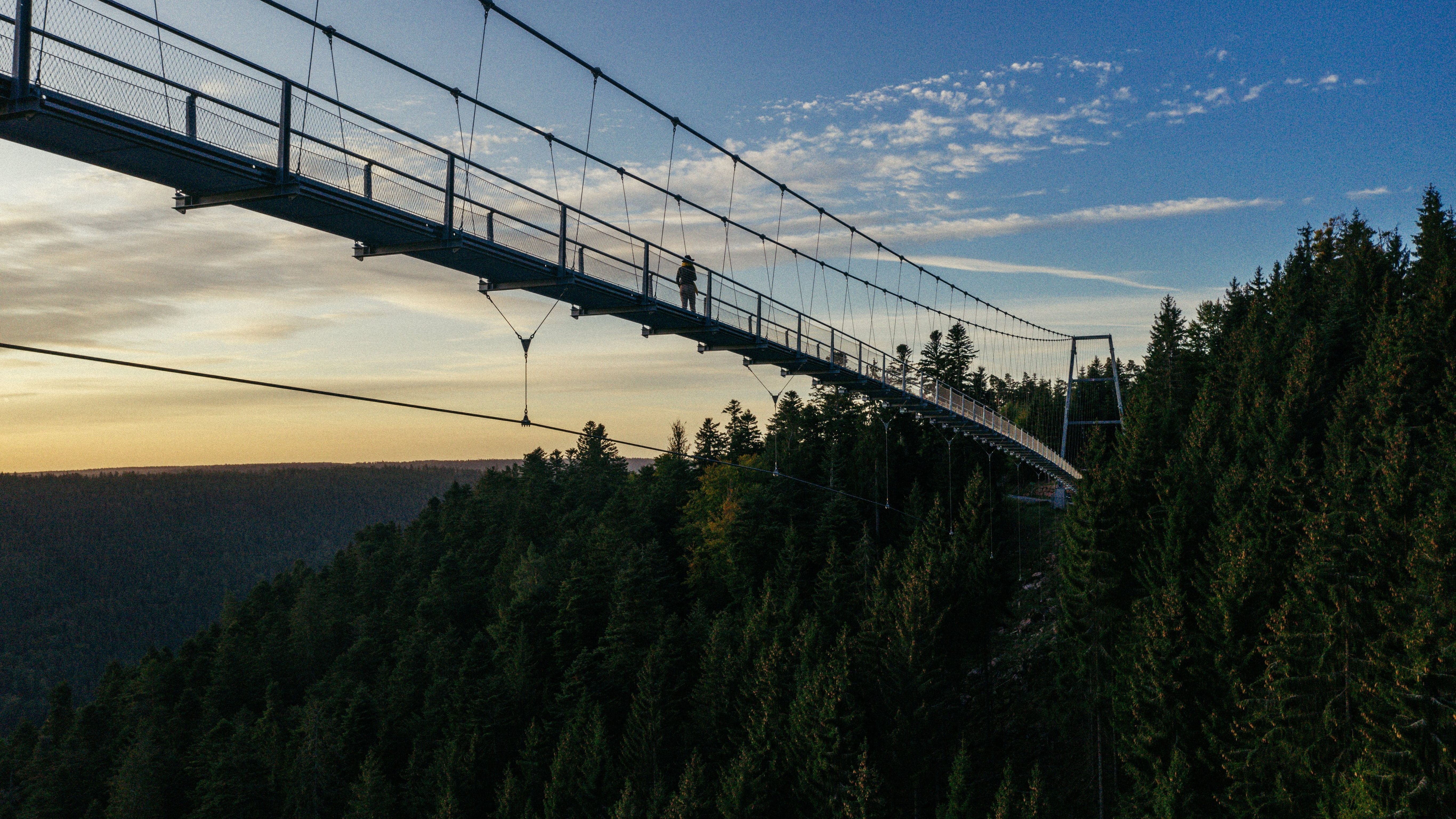WILDLINE Suspension Bridge