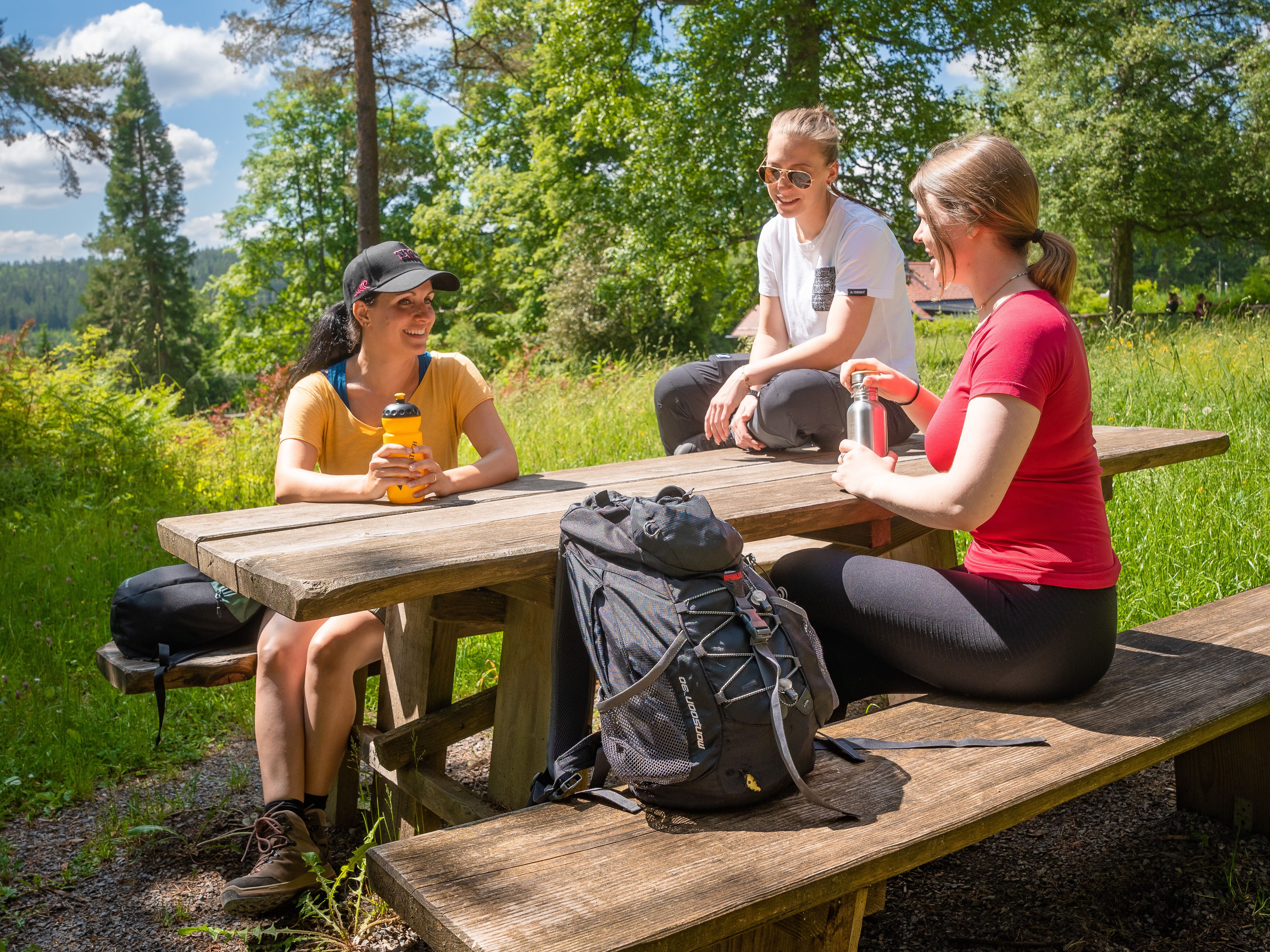 Wandern in Bad Wildbad im Schwarzwald