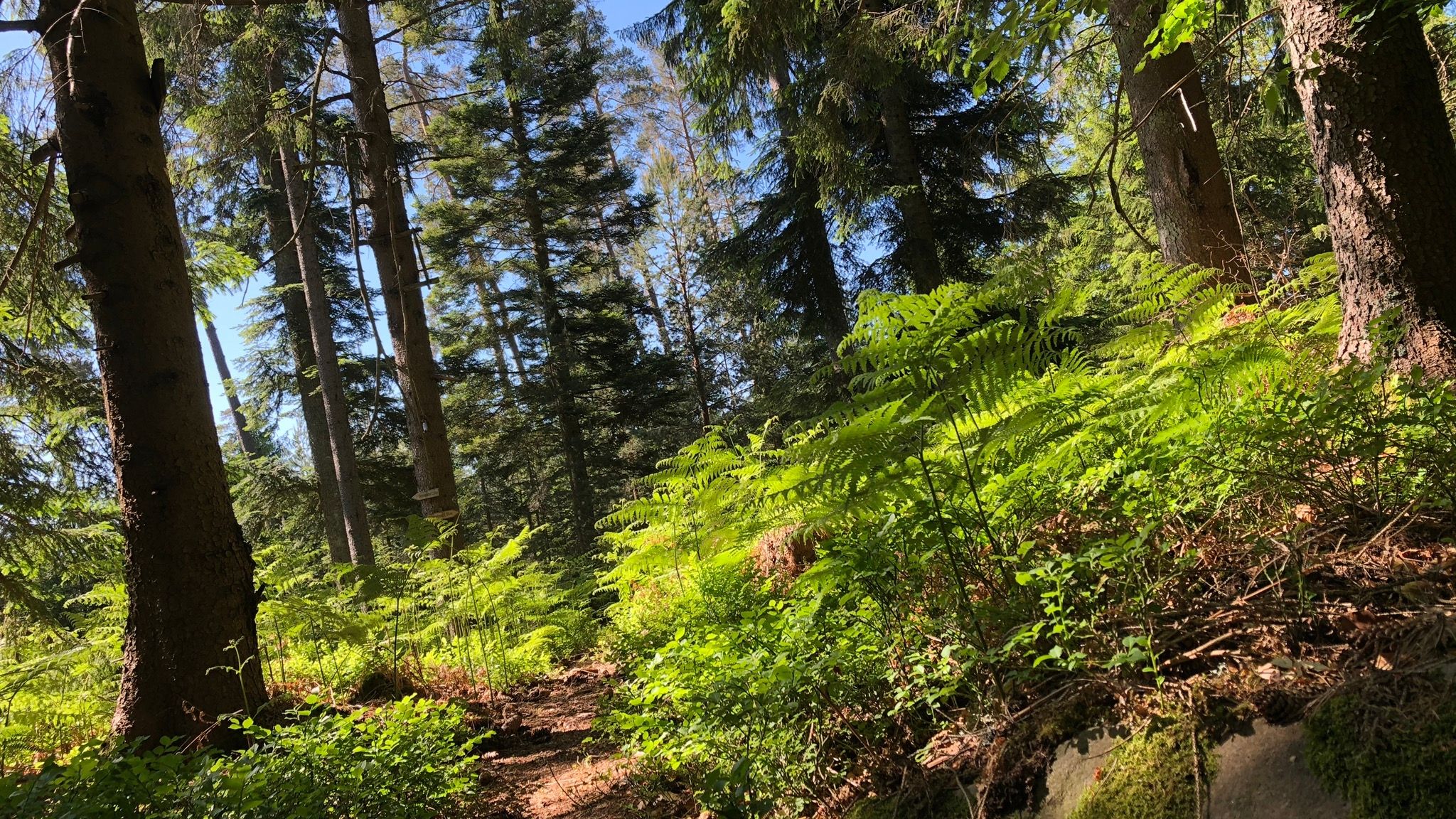 Wandern