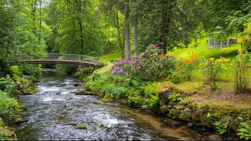 Kurpark Brücke