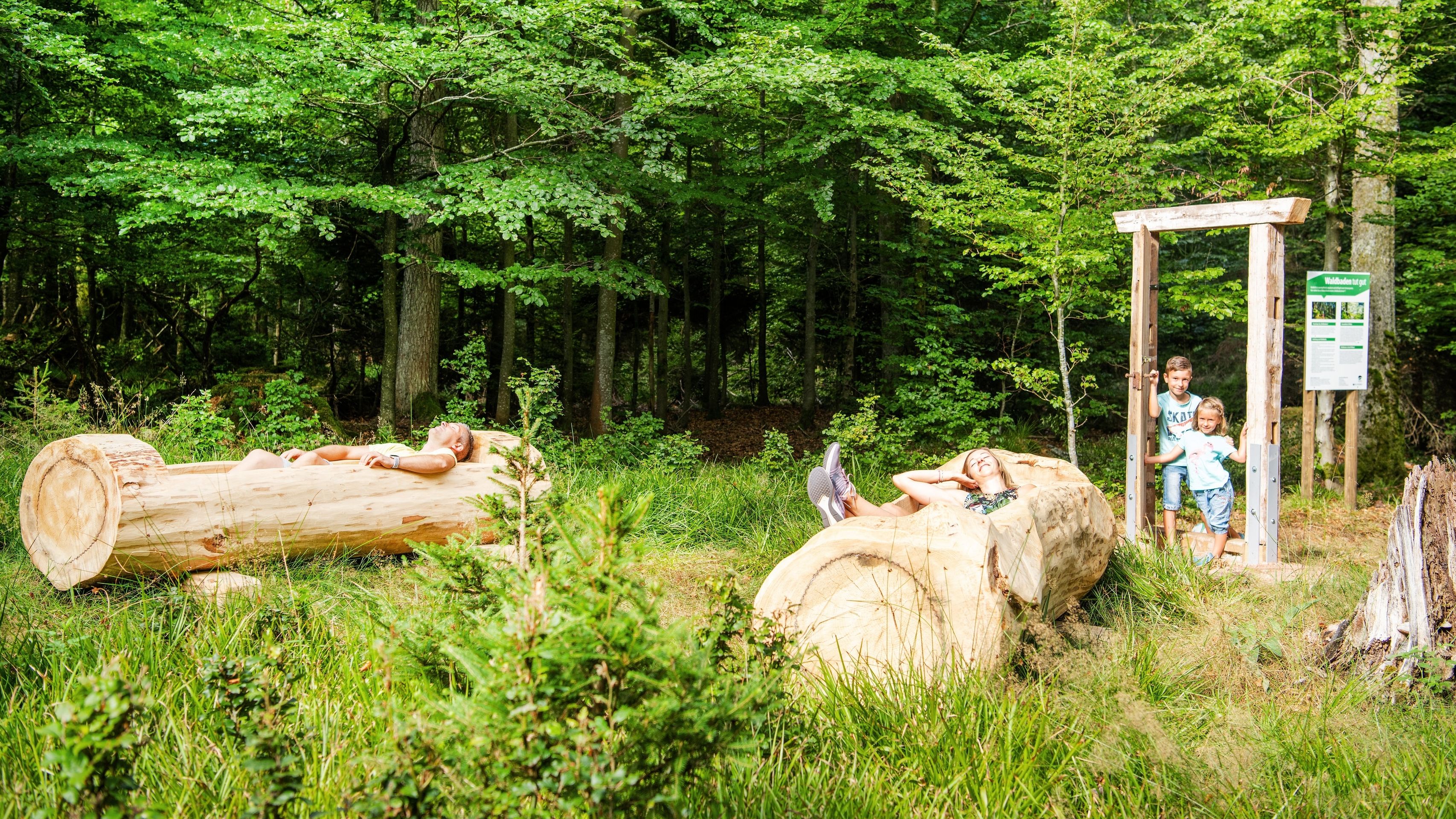 Waldbadezimmer auf dem Sommerberg