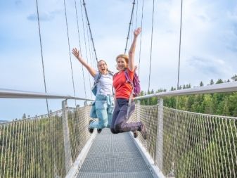 Hängebrücke Wildline