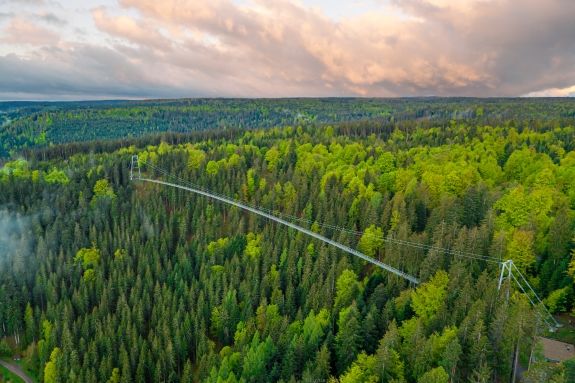 WILDLINE Suspension Bridge