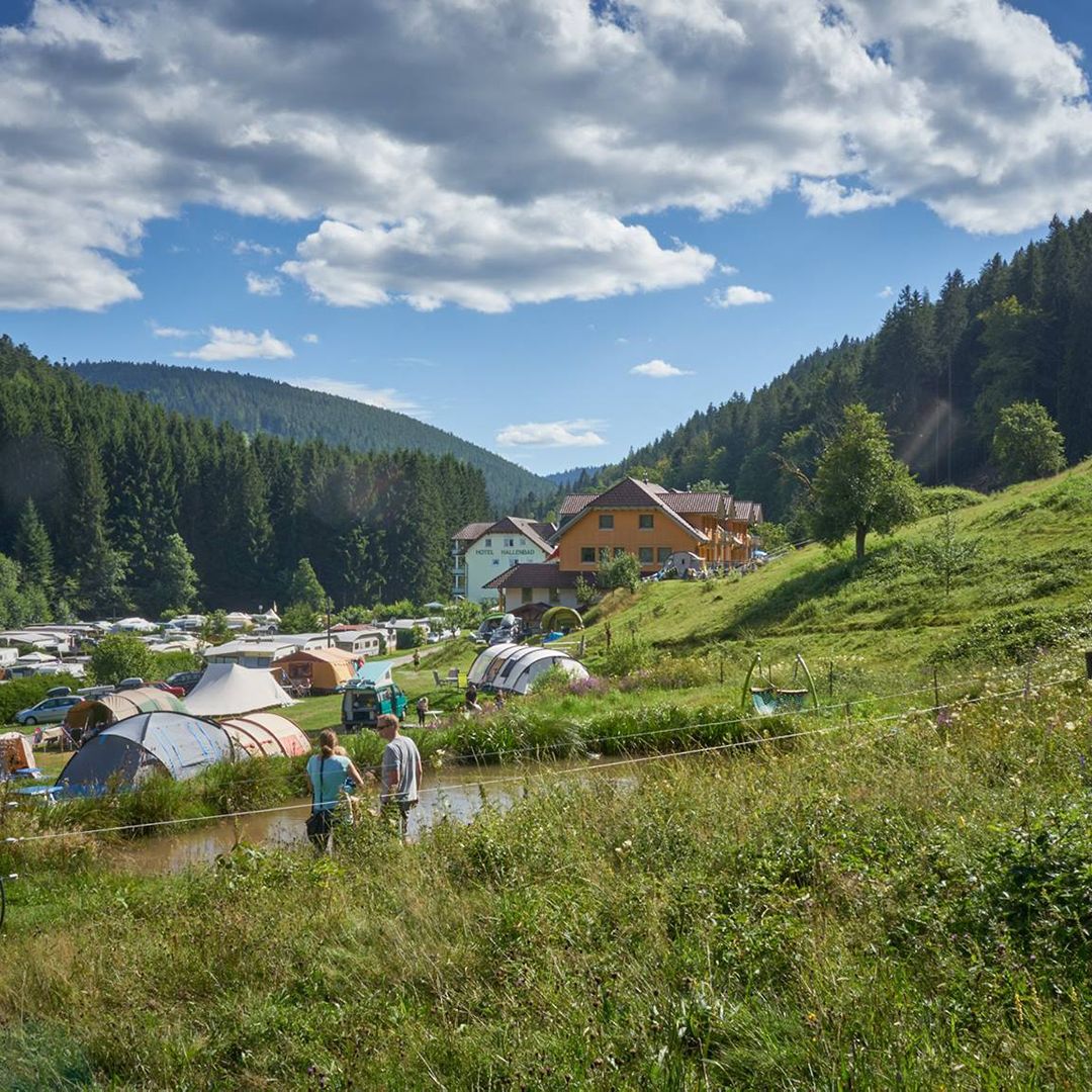 View of the northern Black Forest